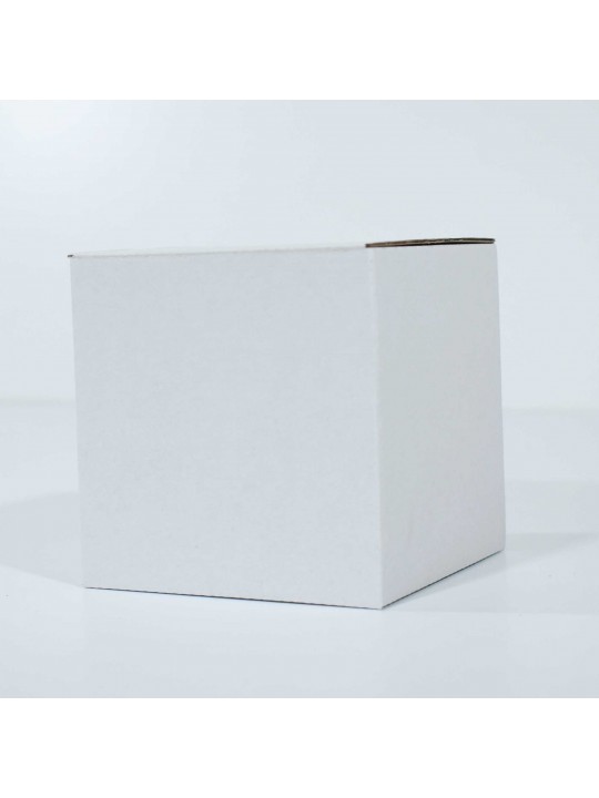 100x50x245 mm Bela poštanska kutija